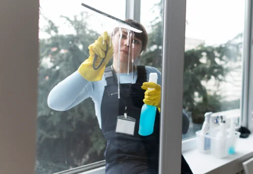 Nettoyage de vitres intérieures et extérieures à Joué-du-Bois